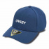 Oakley Stretch Fit šiltovka 6 Panel Metallic